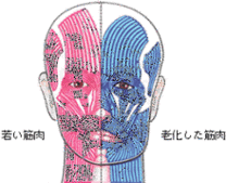 image.gif